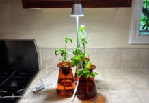 15 Best Gifts for Plant Lovers and Gardeners (2026)
