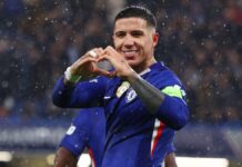WATCH: Fernandez screamer puts Chelsea ahead against Tottenham