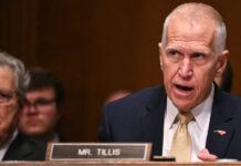 Rebellious Republicans find voice in Trump apostate Thom Tillis: ‘stupid on stilts’ and a ‘payout for punks’