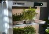 InstaFarm Automated Indoor Microgreens Garden Review: Easy Being Green