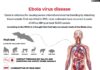 Ebola outbreak: What travel restrictions have countries imposed?