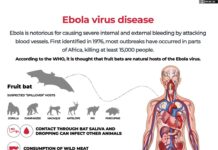 Ebola outbreak: What travel restrictions have countries imposed?