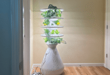 This Eye-Catching Indoor Garden Is 20 Percent Off Right Now