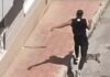 Man arrested after killing ex-partner’s cat in Spain