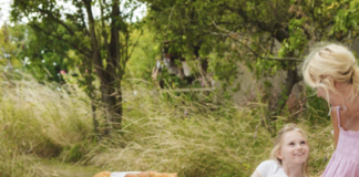 Best Picnic Baskets for Summer