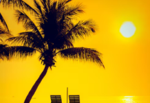 Here are the Top 10 Summer Foods to Eat