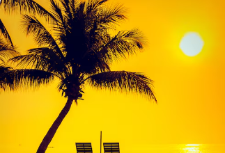Here are the Top 10 Summer Foods to Eat