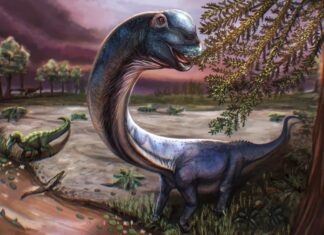 Scientists identify massive new dinosaur following Thailand dig