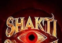 Aneet Paddas Shakti Shalini Avoids Locking Horns With Shah Rulh Khanâs King?