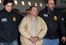 U.S.-wanted nephew of drug lord “El Chapo” is captured in Mexico