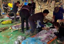 Four more Laos gold miners rescued from flooded cave