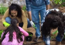 What a Handful of Soil and a Few Seeds Can Teach Your 6-Year-Old About Life