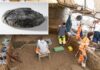 ‘Extremely rare’ 2,000-year-old bread loaf unearthed at Roman legionary camp