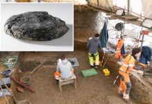 ‘Extremely rare’ 2,000-year-old bread loaf unearthed at Roman legionary camp