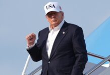 Senate Republicans confirm nearly 50 of Trump’s picks for energy, land management