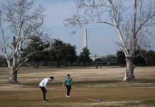 Controversial D.C. muni renovation comes into focus with design plan