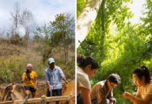 6 Places in India Where Travel Lets You Help Forests, Farms & Local Communities Thrive