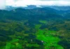 8 Scenic Forest Road Trips Near Mumbai, Bengaluru & Delhi That Feel Straight Out of a Dream