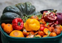 19-YO’s Tech ‘Mimics Nature’ to Keep Fruits, Veggies Fresh Without Refrigeration