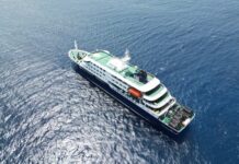 How hantavirus may have spread aboard a cruise ship