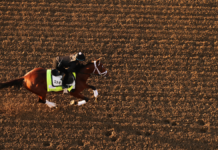 Inside the Kentucky Derby: What fans don’t see at Churchill Downs on race day