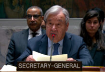 UN chief ‘deeply concerned’ by Moscow plan for Kyiv strikes