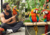 Jr NTR Introduces Pet Macaws Asahi and Yuuhi on His Birthday