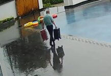Cringe footage shows moment hotel worker accidentally falls into pool