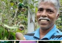 Udupi Farmer’s Rooftop Garden Becomes Home to the World’s Most Expensive Mango