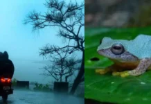 The Case for Travelling the Western Ghats in Monsoon — and Doing It the Right Way