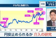 Japan Intervention Fails to Reverse Yen’s Slide