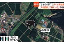 Man Mauled by Bear in Akita Rice Field