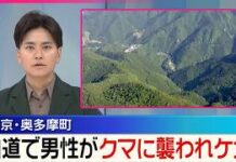 Russian Hiker Seriously Injured in Bear Attack in Western Tokyo