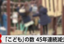 Number of Children in Japan Falls for 45th Straight Year