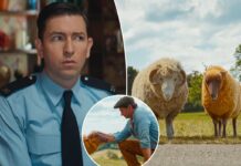 ‘The Sheep Detectives’ review: A killer is on the lamb in cute animal mystery movie