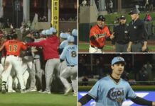 Minor league teams clash in benches-clearing brawl in wild scene — with four ejections