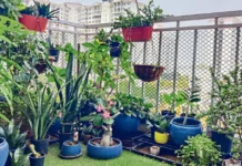 Your Garden Doesn’t Have to Struggle Through Summer. The Secret Is in How You Hold the Water