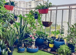 Your Garden Doesn’t Have to Struggle Through Summer. The Secret Is in How You Hold the Water