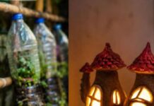 How People Are Turning Everyday Waste Into Home Decor That Saves Money Too