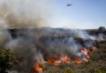 California’s Wildfire Season Is Already Overactive