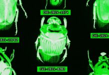 The AI Era Is Creating a Bug Hunting Arms Race