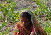 How Better Soil Health Can Help Farmers Improve Yields, Save Water and Cut Recurring Costs