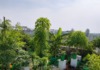 Could Roof Gardens Be a New Trend To Cut Electricity Bills in Unbearable Heat?