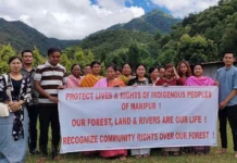 What Are the Community Rules Helping Manipur Villages Protect Forests for Generations?