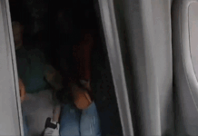 Chaotic border chase ends with illegal immigrants found crammed in semitruck sleeping area