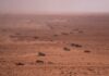 2 US troops missing after ‘Africa Lion’ training exercises in Morocco