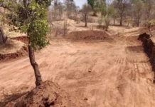 How Surat Turned Forests Into Water Banks Conserving 580 Crore Litres