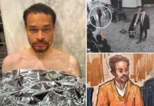 WHCD shooting suspect Cole Allen no longer on suicide watch, lawyers say