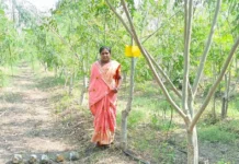 ‘Earlier I Was Scared to Step Out’: Now She Runs an Organic Farm Earning Rs 600/Day