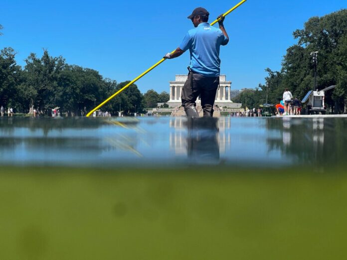 0617_reflectingpool_algae_01-1024x768.jpg